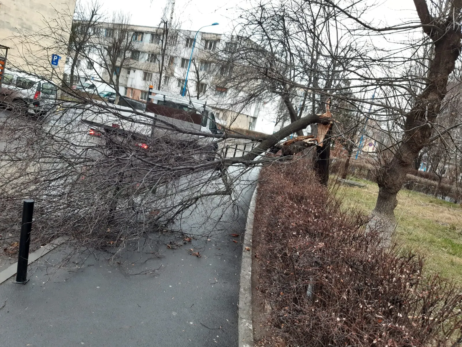 IMG-20200224-WA0002