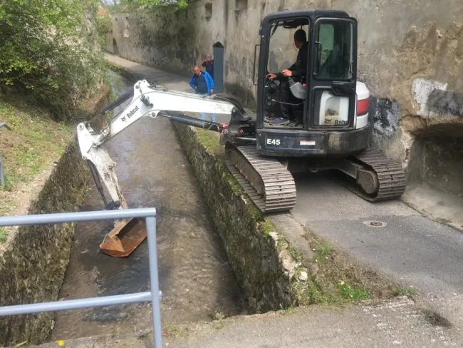 graft (1)