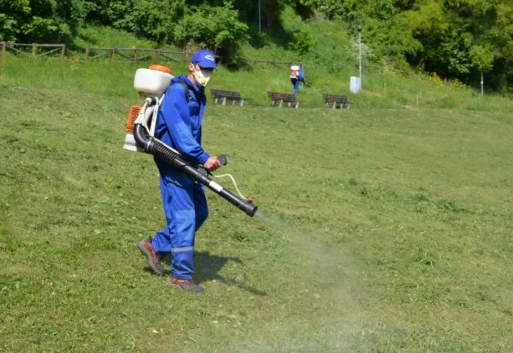 VIDEO Au început primele campanii de dezinsecție și deparatizare din municipiul Brașov