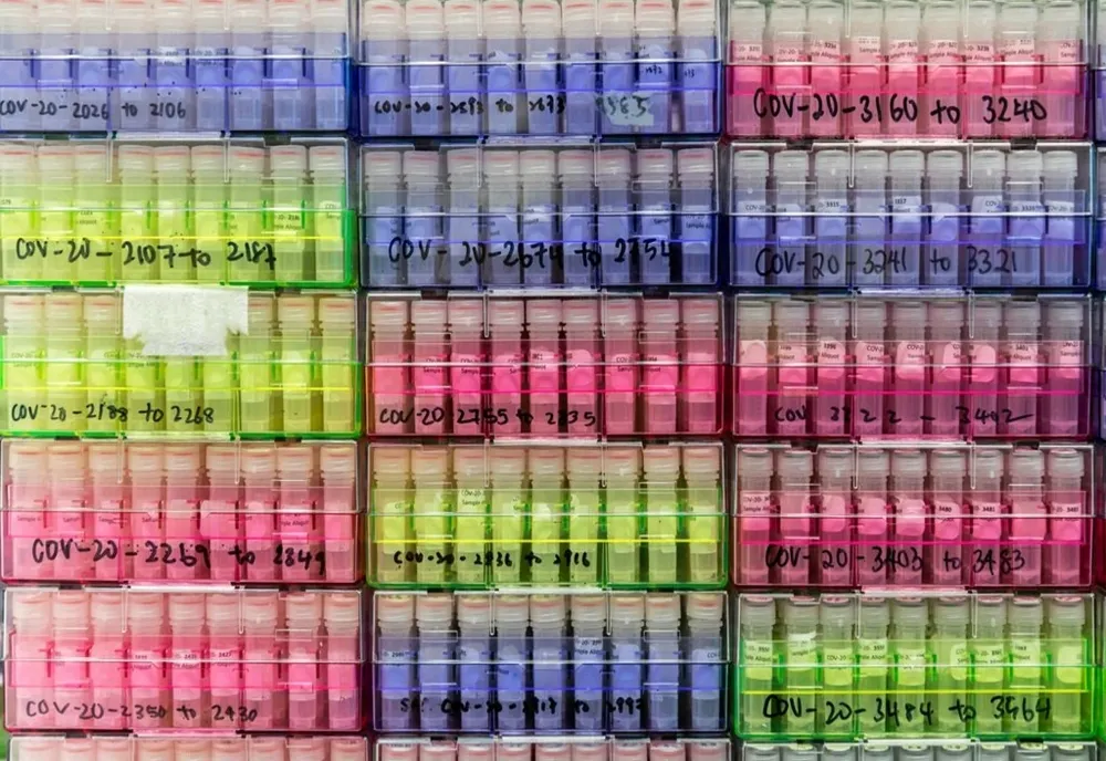 OMS a anunţat un nou sistem de denumire a variantelor Covid-19