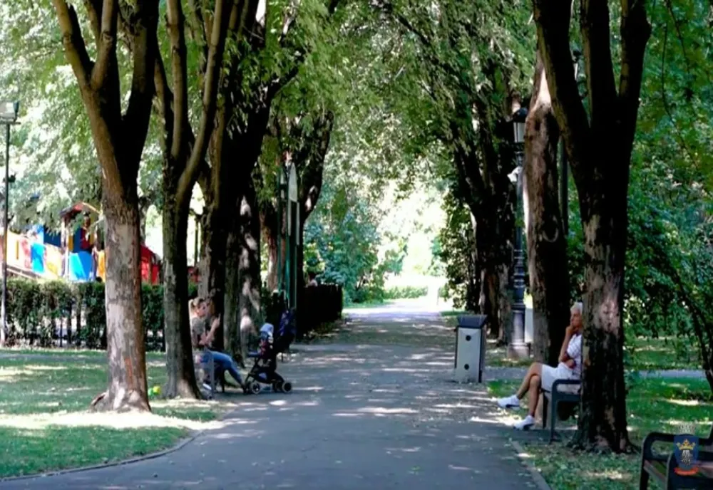 A fost aprobat regulamentul de folosire a spațiilor verzi! Modificări importante în parcurile din municipiul Brașov