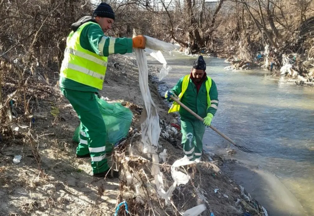 Deșeuri colectate de pe malul Ghimbășelului