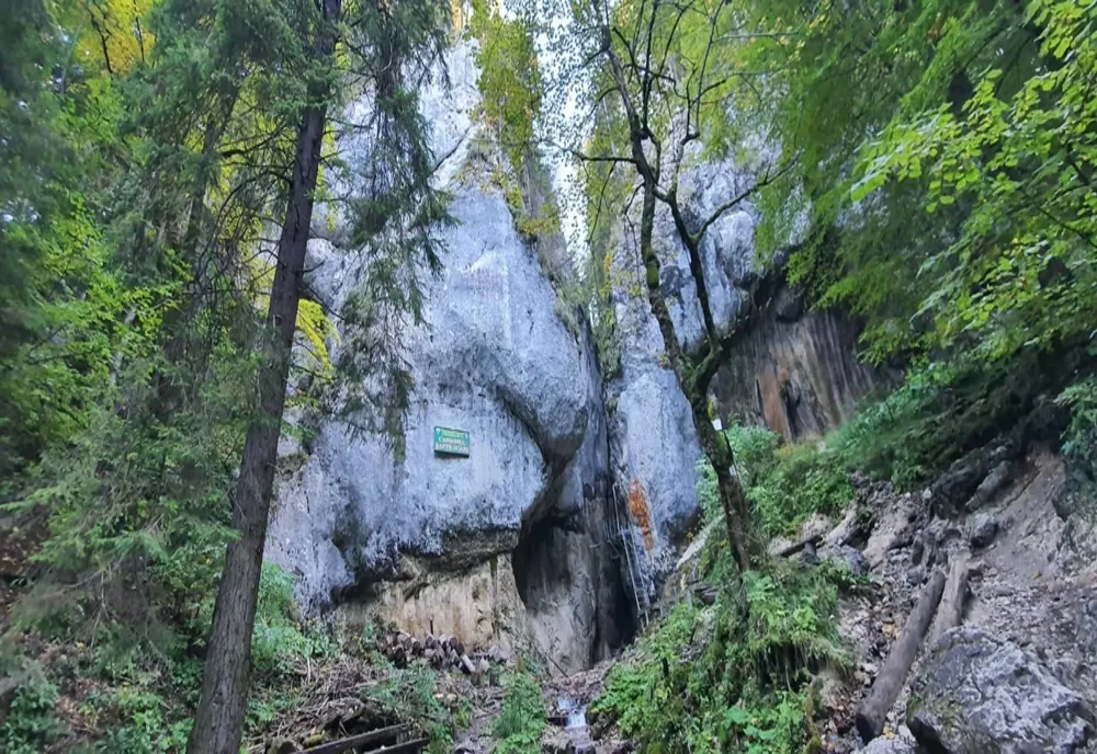 Unele dintre cele mai vizitate obiective turistice din județul Brașov se redeschid în weekend