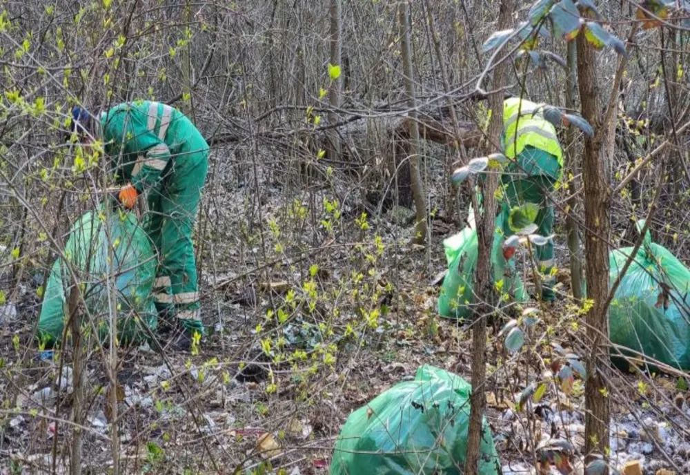 VIDEO Acțiune de ecologizare pe Tâmpa