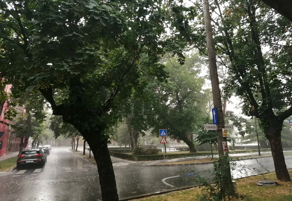 Gospodārii inundate, în județul Braşov