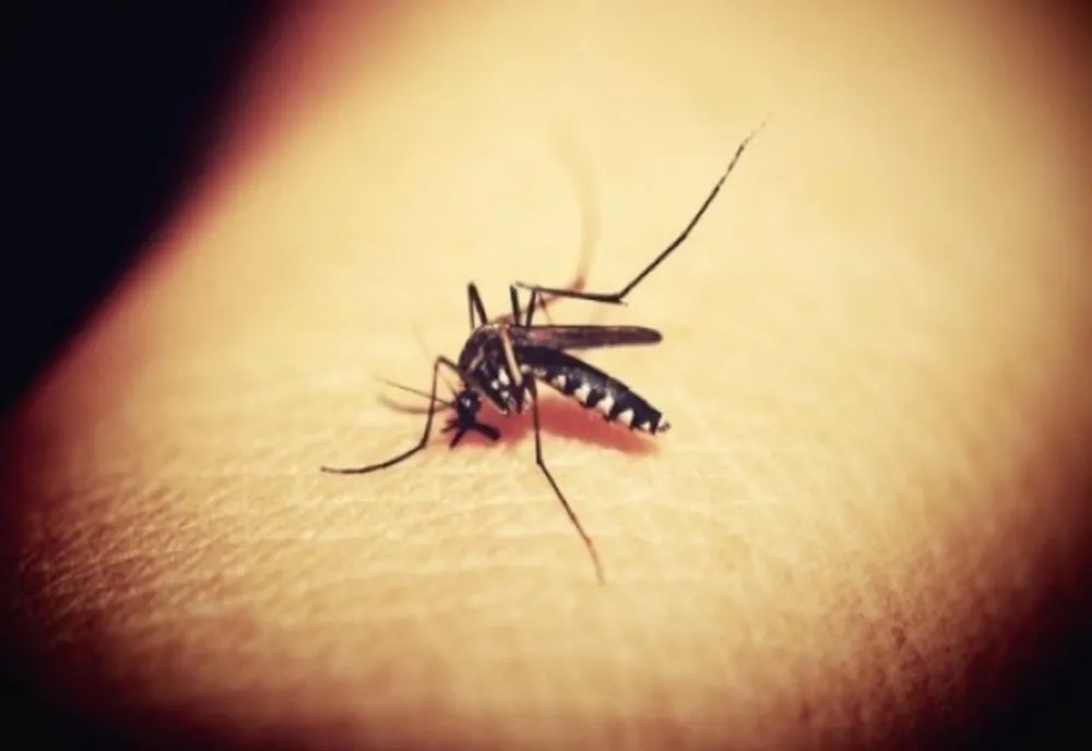 INSP: 30 CAZURI DE INFECŢIE CU VIRUSUL WEST NILE, RAPORTATE DE LA ÎNCEPUTUL LUNII IUNIE