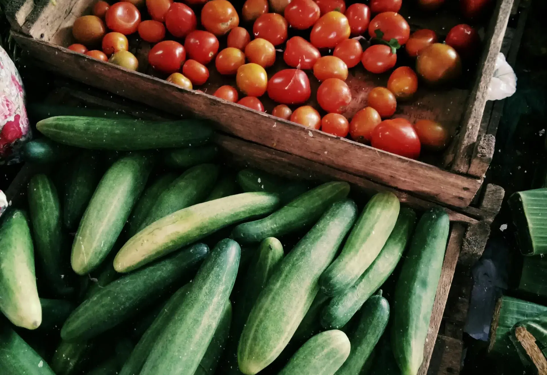 legume