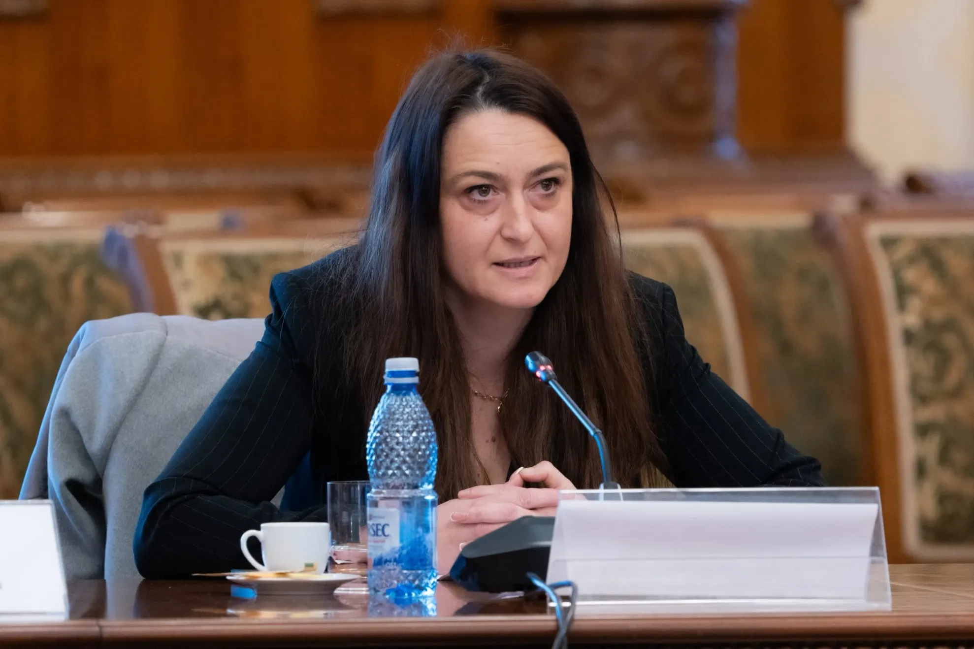 Cristina Butură (deputat AUR)