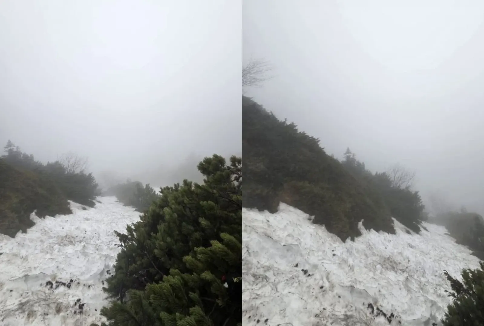 Munții Bucegi