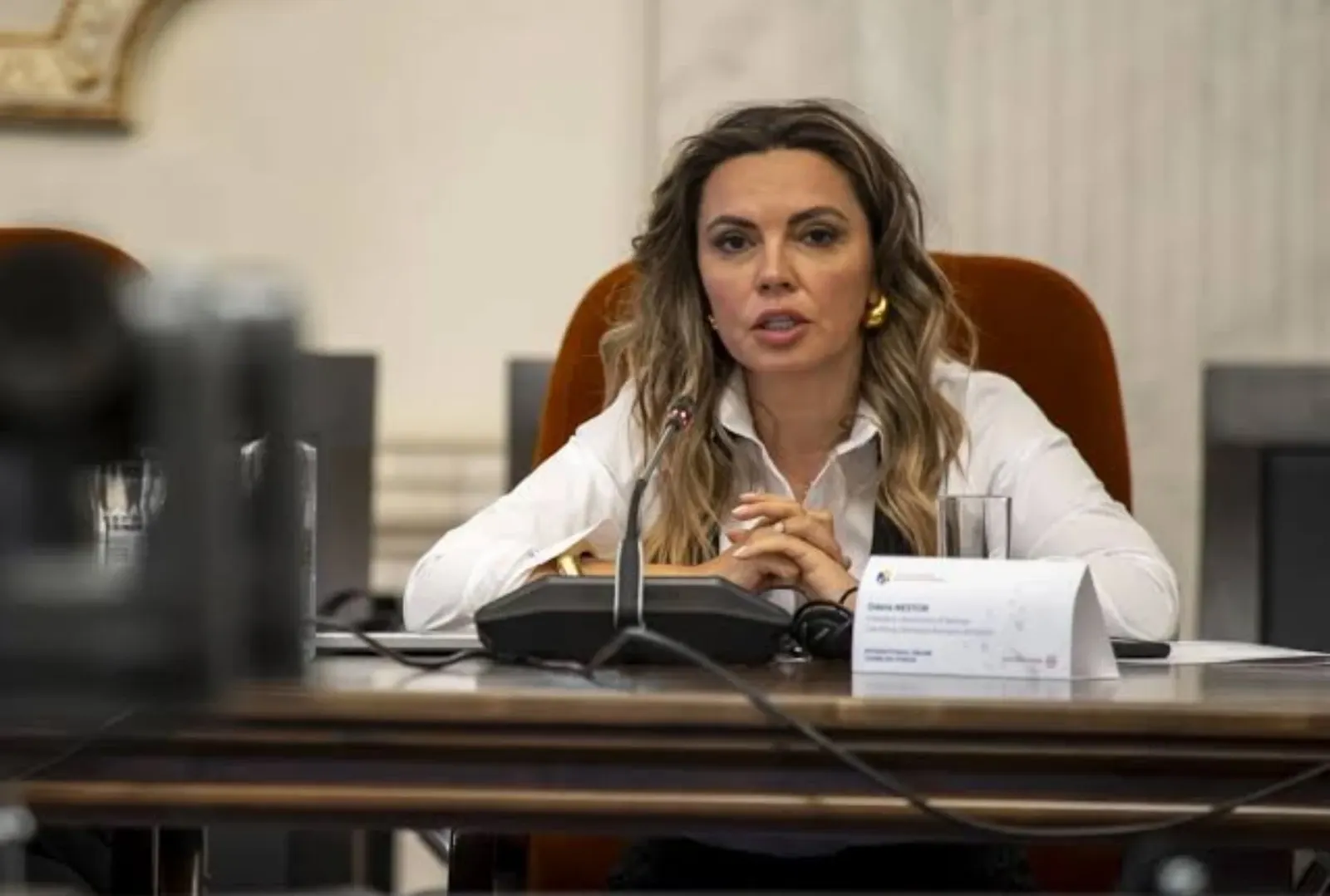 Odeta Nestor
