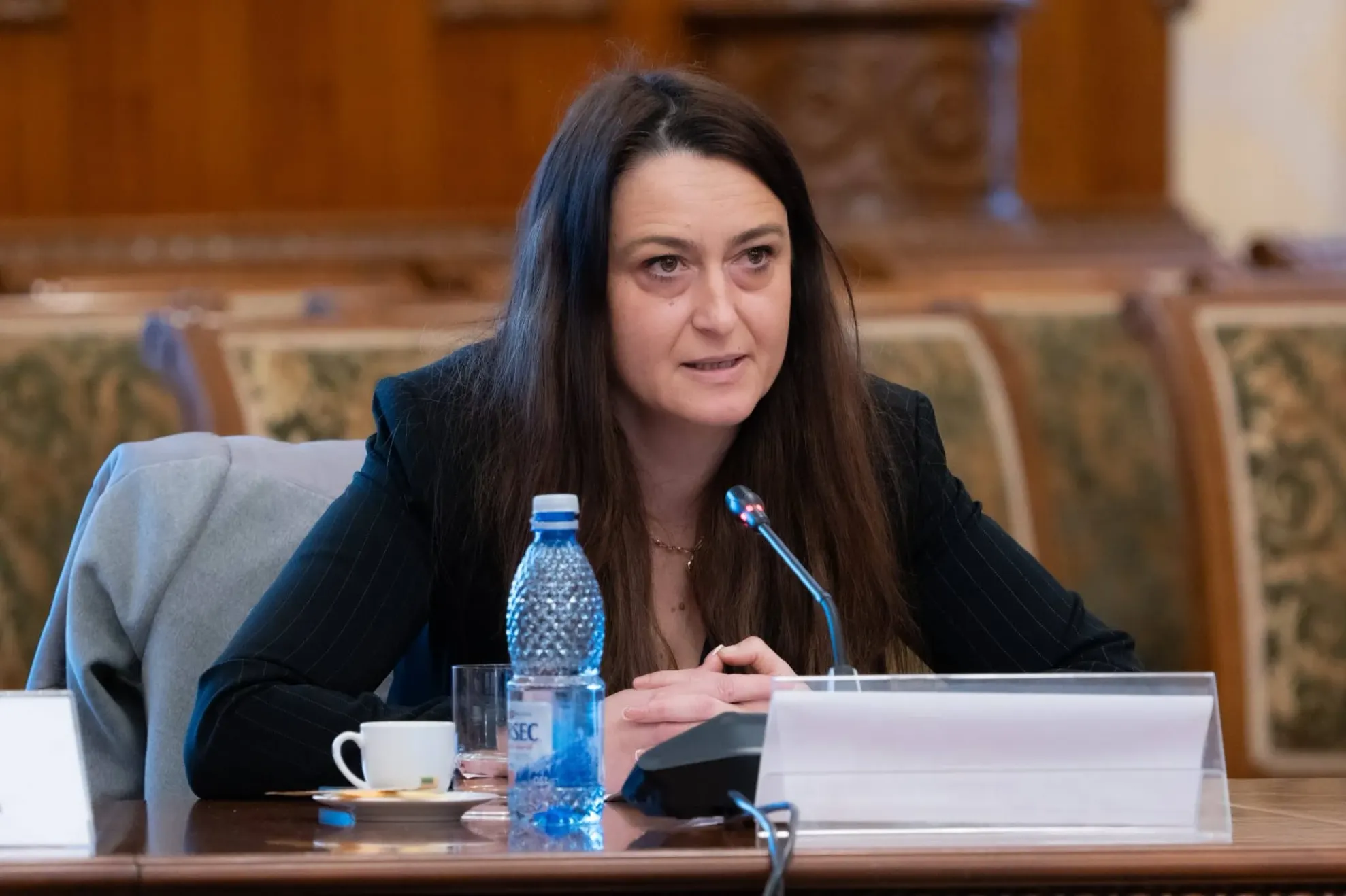Cristina Butura