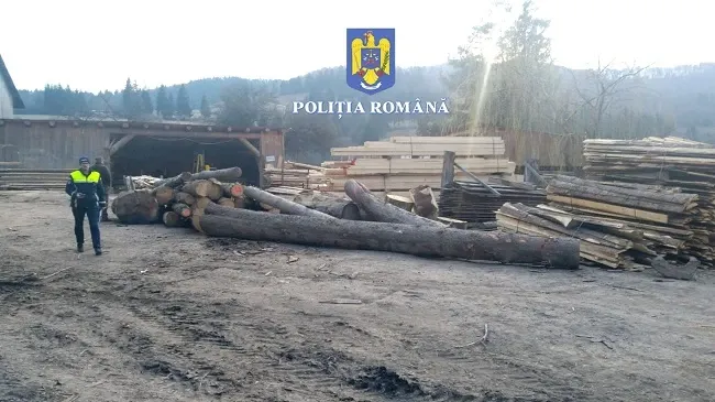 Percheziții domeniul silvic