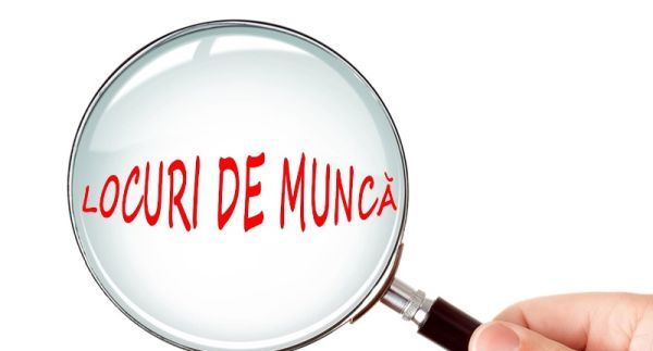LOCURI-DE-MUNCA