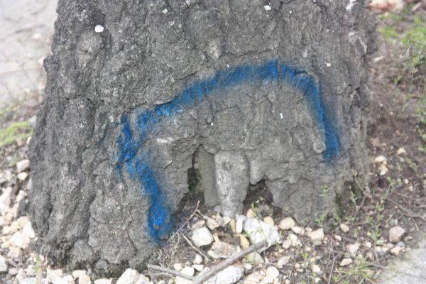 copaci taiati (1)