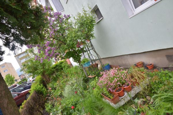 gradina (3)