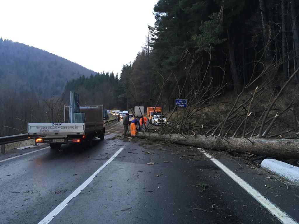 IMG-20191113-WA0012