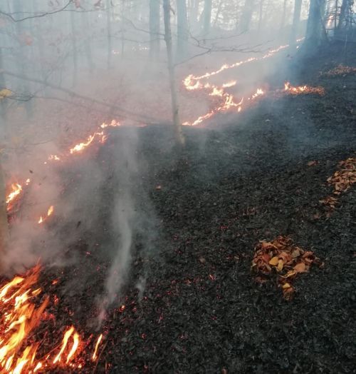 incendiu (2)