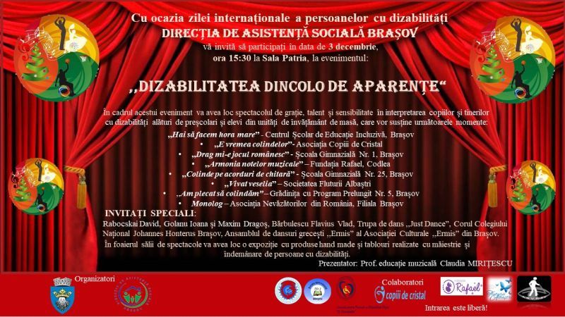 dizabilitati (1)