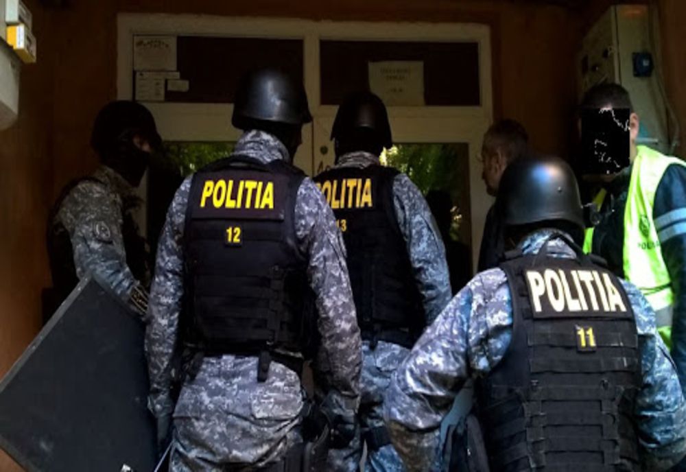 Percheziții de amploare împotriva MAFIEI LEMNULUI