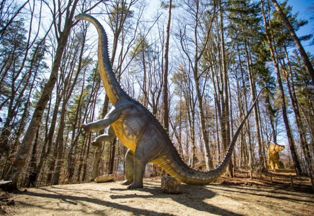 Cel mai mare dinozaur din sud-estul Europei este la Râșnov