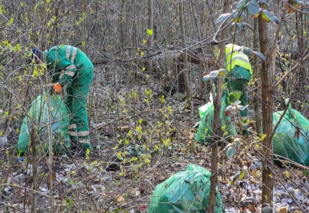 VIDEO Acțiune de ecologizare pe Tâmpa