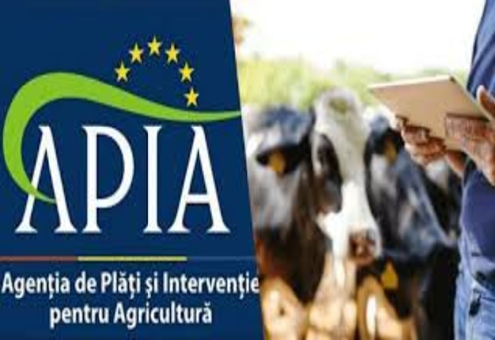 Închisoare cu suspendare pentru un brașovean care a prejudiciat APIA cu peste 140.000 de lei