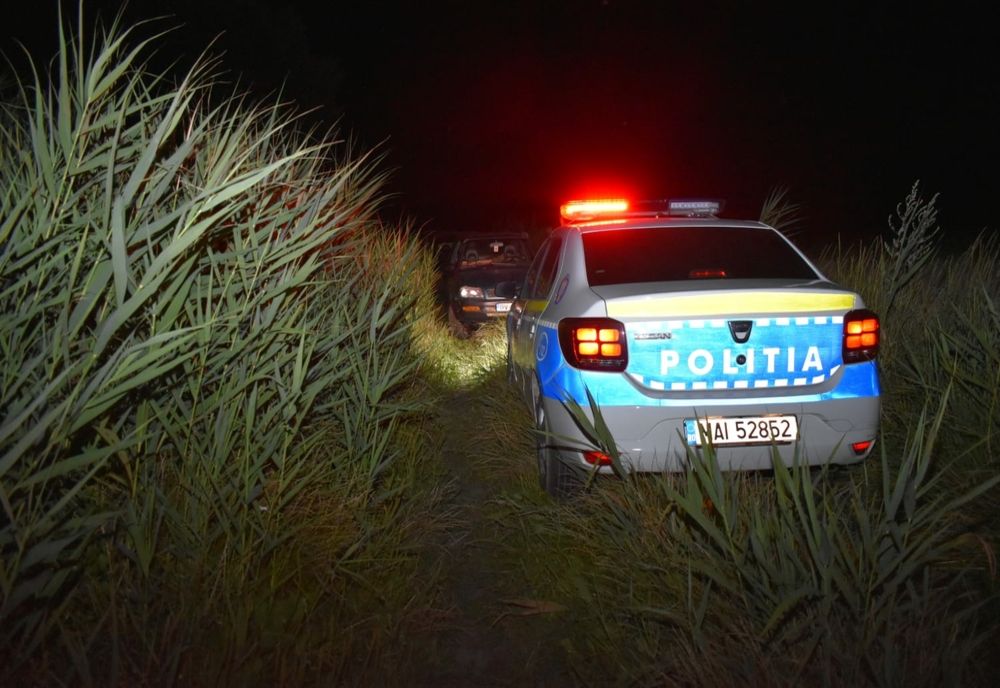 VIDEO+FOTO 3 bărbați acuzați de braconaj au ajuns în arestul Poliției Brașov