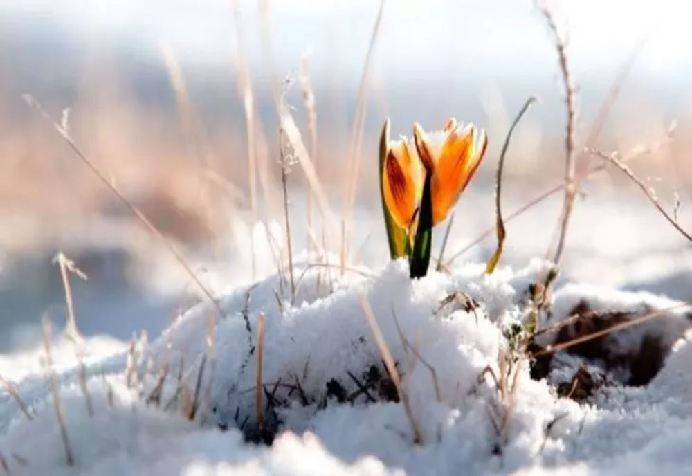 Vremea 17 februarie - Temperaturi mult prea ridicate pentru luna februarie - Viscol la munte, rafale puternice cu viteze de 100km/h
