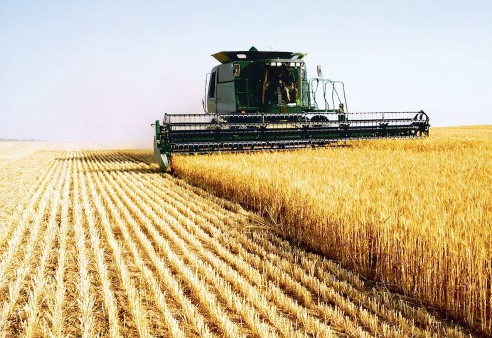 ROMÂNIA ÎNSUMEAZĂ 23% DIN FORȚA DE MUNCĂ ÎN AGRICULTURĂ DIN UE