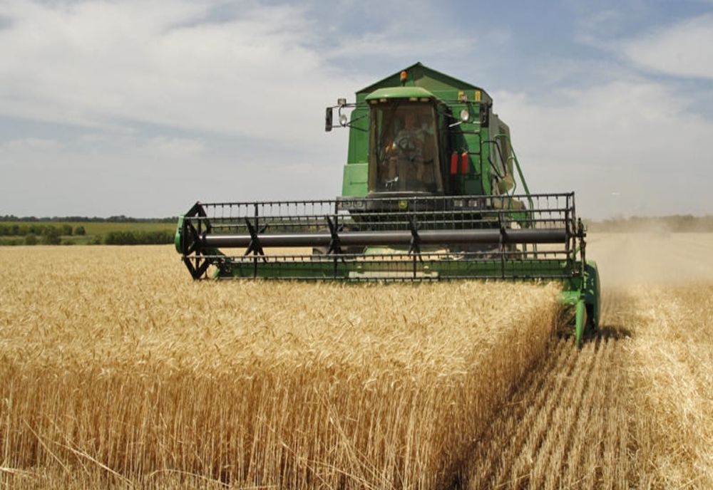 INS: PRODUCȚIA AGRICOLĂ A SCĂZUT LA TOATE CULTURILE, ÎN 2024