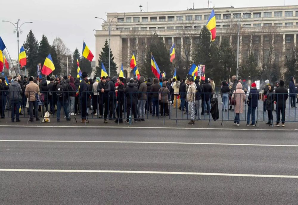 Protest al fermierilor, în Piața Victoriei. Anca Alexandrescu, prezentă la manifestație: "Singura putere este la popor"