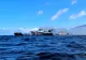 Petrolier grecesc, atacat de o dronă în Marea Neagră. La bord se afla și un marinar român