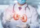Obiceiul care crește riscul de formare a pietrelor la rinichi. Avertismentul medicilor pentru zilele caniculare