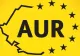 AUR urcă în sondaje. 33% dintre români ar vota cu patrioții