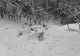 FOTO Avertizare din partea Salvamont! Pericol de avalanșe în Masivul Postăvarul