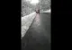 Intervenție pe DN 1A (VIDEO)