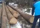 Material lemnos abandonat, găsit de jandarmi