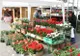 Care sunt zonele autorizate de Primărie, pentru comercializarea florilor, de 8 martie?