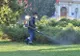La solicitarea brașovenilor, Primăria a început "lupta" împotriva căpușelor