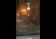 VIDEO Urs rătăcit și dezorientat, la Râșnov