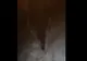 VIDEO Turiști străini, în blugi și adidași pe munte, la peste 2.000 de metri altitudine