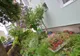 FOTO Cea mai îngrijită grădină din municipiul Brașov a fost premiată de Primărie