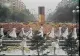 1 MAI muncitoresc, în comunism (VIDEO)