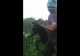 VIDEO Pui de urs chinuit de romi
