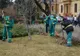 Începe curățenia de toamnă. Unde vor fi amplasate centrele de colectare a deșeurilor mari?