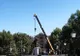 VIDEO Parc dendrologic de 3 milioane de lei
