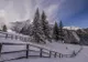 VIDEO Documentarul Wild Carpathia poate fi urmărit, diseară, gratuit, în Piața Sfatului