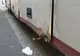 VIDEO+FOTO Condiții JALNICE, care pun în pericol viața călătorilor, descoperite de OPC la transportatorii privați