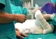 Femeie cu arsuri grave, internată la Brașov, dar operată la Iași, după două săptămâni! Ministrul Sănătății: "Medicii de la Brașov și-au făcut treaba"
