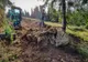 VIDEO A început amenajarea traseelor de mountain bike din Postăvarul